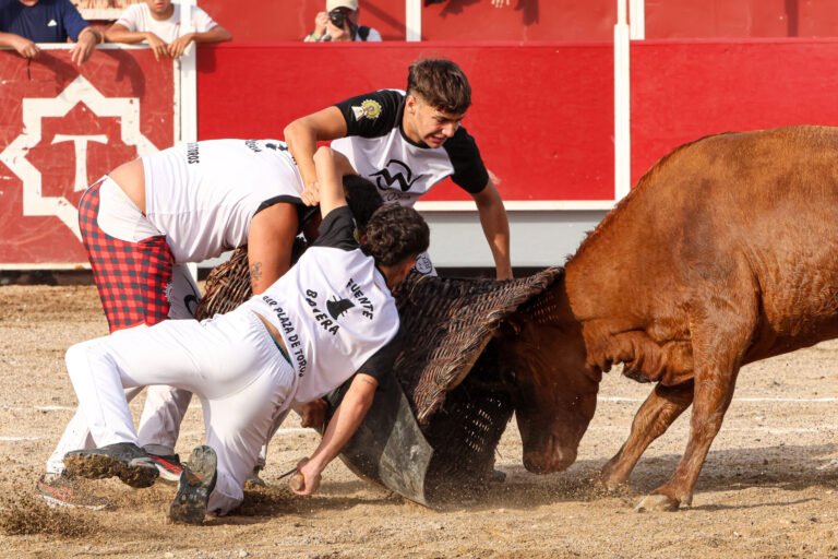 Fuente Bañera hace historia en Quinto al ganar su primer Concurso de Roscaderos frente a vacas de Jesús Marcén