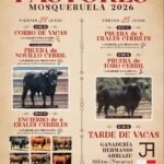 Mosqueruela