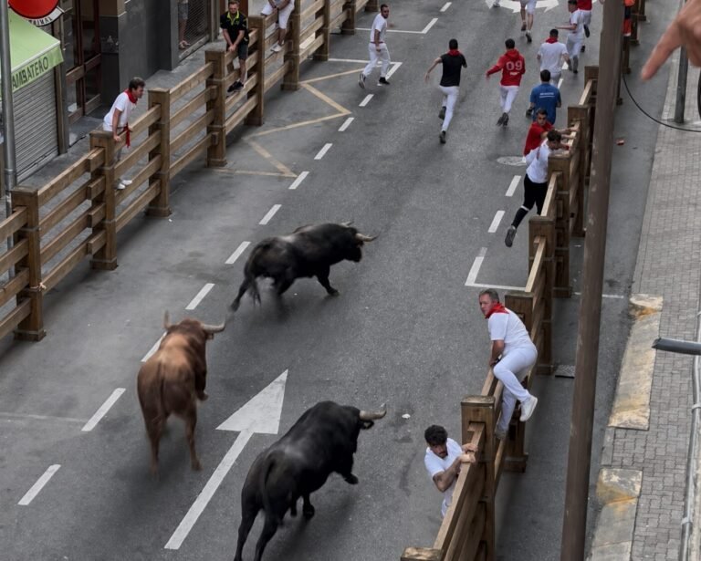 Sexto y último encierro de Tudela 2026: Picante de Hermanos Gracia Blasco con Candeque, nº 115, como protagonista de la mañana