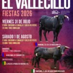 El Vallecillo