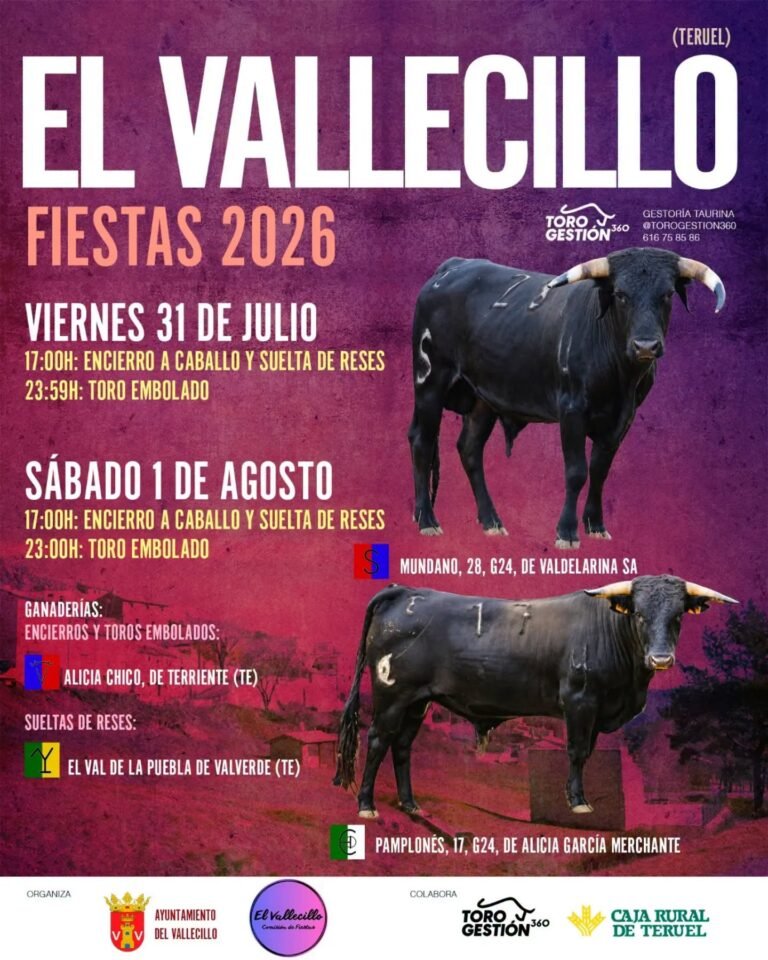 El Vallecillo
