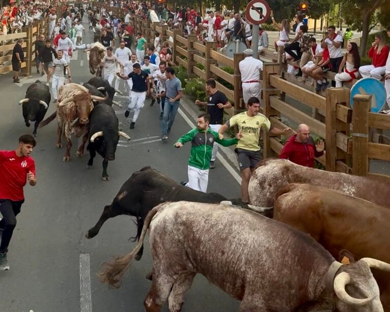 Segundo Encierro Tudela 2026: Una corredora trasladada por traumatismo en el encierro de Rosa Rodrigues