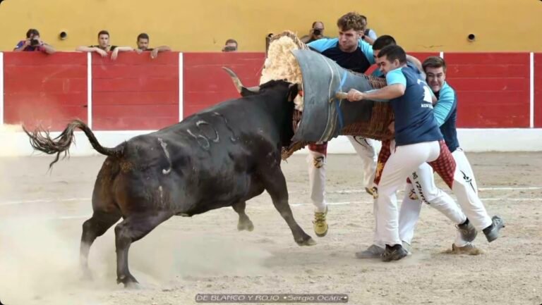 Montañana ganó el Concurso de Roscaderos de Ricla, mientras que Utebo-Monzalbarba lo hizo en el de Utebo