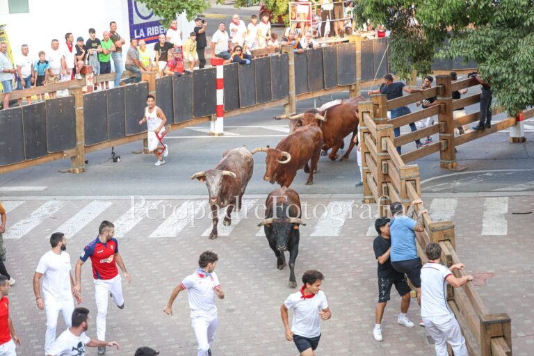 Quinto Encierro Tudela 2026: Masterclass del buen correr con toros de Toropasión