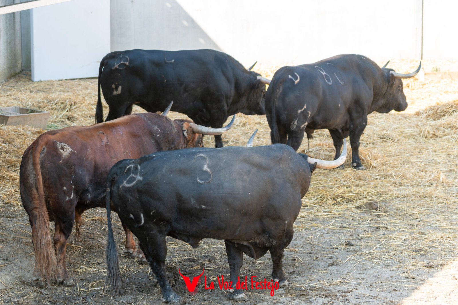 _San_Fermin-2