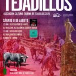 Tejadillos