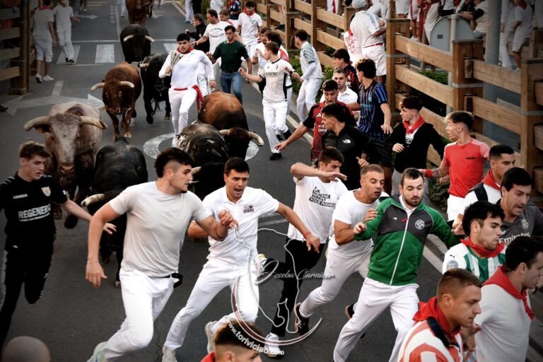 Extraordinariamente bonito el tercer encierro de las fiestas de Tudela 2026 con toros de Ojailén, maravillosas carreras