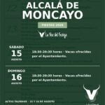 Alcalá de Moncayo
