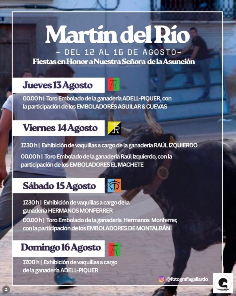 Martín del Río
