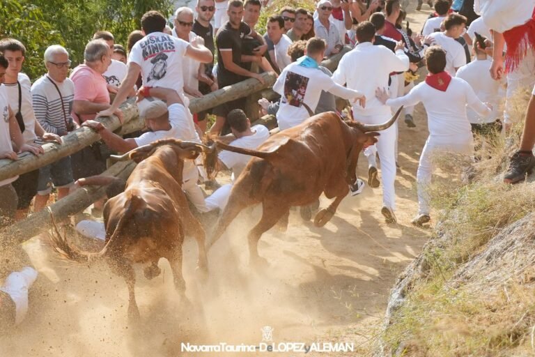 La Casta Navarra de Alba Reta arrolla y pone la Cuesta patas arriba en el Cuarto Pilón de Falces 2026