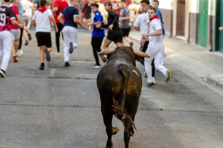Crónica y galería | Rock and roll de Pincha con toro suelto en el exigente Segundo Encierro de Lodosa 2026