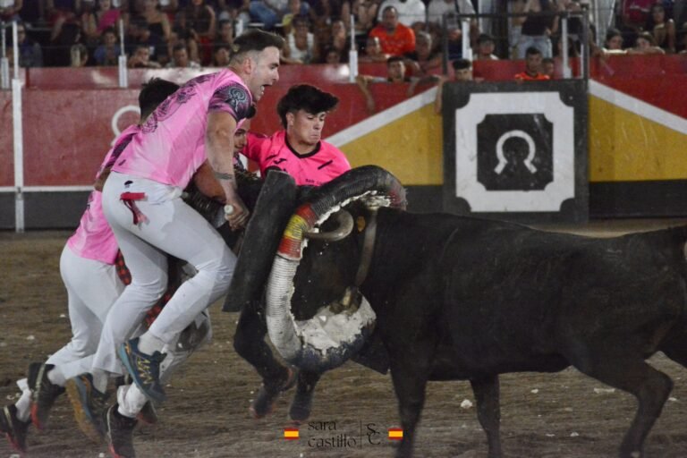 Frente Colono ganó el Concurso nocturno de Roscaderos de las fiestas de La Puebla de Alfindén 2026 con vacas de Francisco Murillo