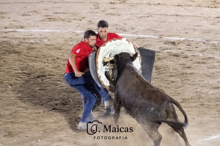 Crónica y fotos | Luna gana el exigente Concurso de Roscaderos de San Mateo de Gallego con vacas de Don Jesús Marcén