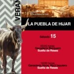 La Puebla de Híjar
