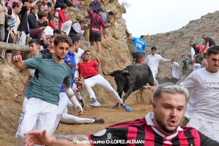 Las vacas bravas de Don Teodoro Vergara barren la Cuesta del Pilón en el eléctrico y emocionante Octavo y último Pilón de Falces 2026