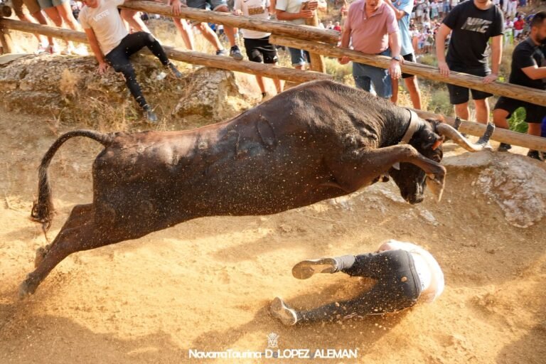 Accidentado Primer Pilón de Falces 2026 con un joven trasladado en la vuelta de Pedro Domínguez a la Cuesta