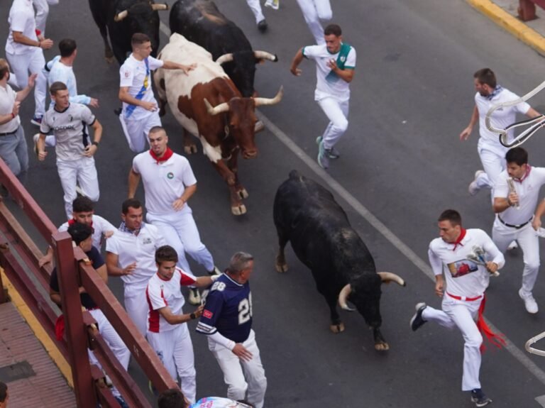 Un Primer Encierro de San Sebastián de los Reyes 2026 para disfrutar corriendo con los toros franceses de Hermanos Tardieu