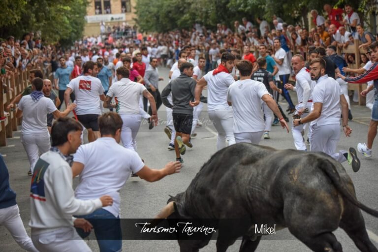 Primer Encierro de Tafalla 2026: Cinco toros de Valdellán dejan un encierro lento, roto y con picante