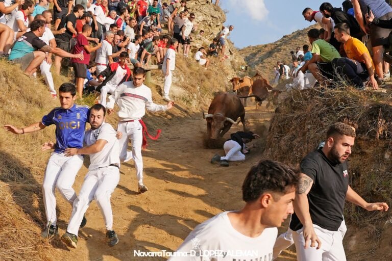 Trepadora se va al barranco, Abeta se come la Cuesta y la vacada de Don Eulogio Mateo llena de bravura y belleza el Quinto Pilón de Falces 2026
