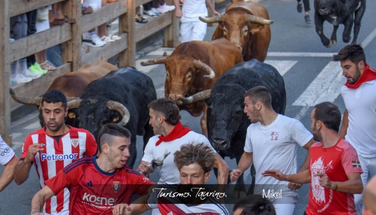 Encierro roto para gozar corriendo el quinto de las fiestas de Tafalla 2026 con Ustarroz