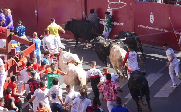 Un peligroso tapón en el callejón cierra un emocionante y accidentado Quinto Encierro de San Sebastián de los Reyes 2026 con toros de La Castilleja