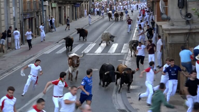 Emocionante, veloz y precioso segundo Encierro de la Feria de Tafalla 2026 con toros de Sobral