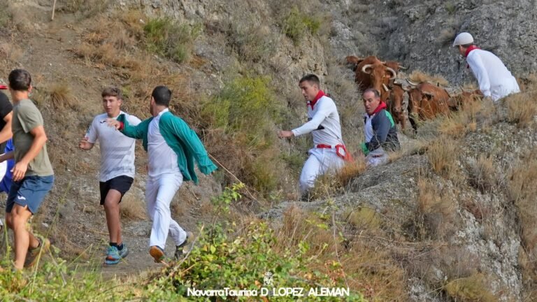 Cigarrera se da la vuelta en el encierrillo y Sonriente vuela en un rapidísimo y accidentado Sexto Pilón de Falces 2026 con Hípica Zahorí