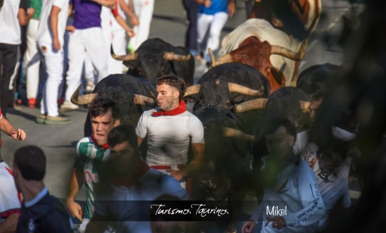 Los torazos de Couto de Fornilhos y Santa Teresa dejan un Tercer Encierro de Tafalla 2026 lento, roto y emocionante, con grandísimas carreras