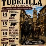 Tudelilla