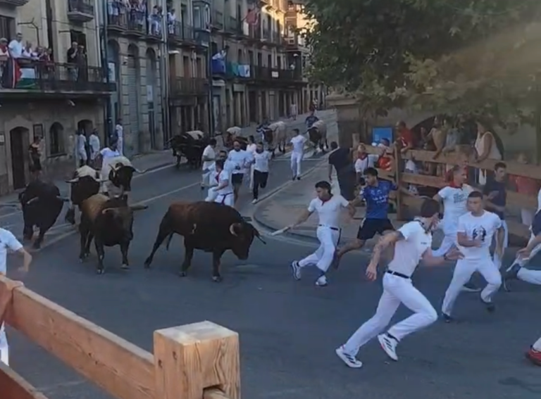 Un toro solitario y díscolo en cabeza pone emoción al lento Cuarto Encierro de Tafalla 2026 de Ustarroz