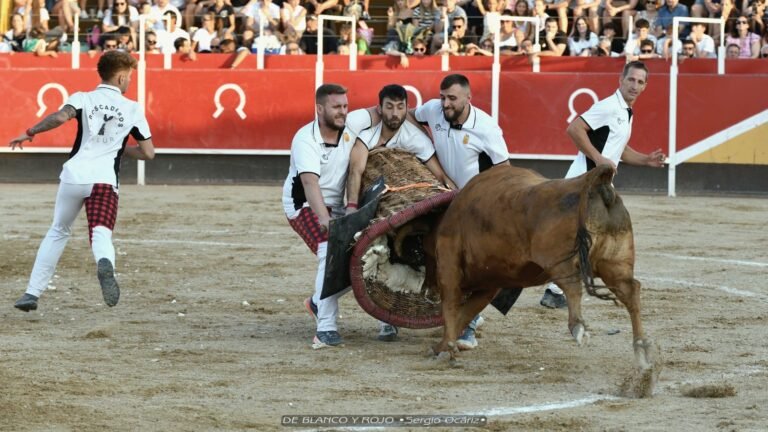 Gallur ganó en Figueruelas su segundo Concurso de Roscaderos en la misma semana frente a vacas de Don Jesús Marcén