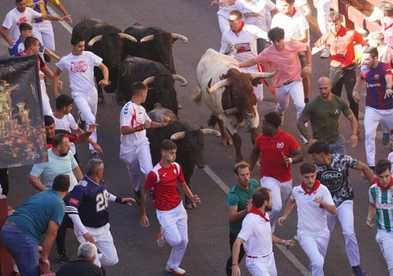 Cabestrada mandando y mucha velocidad en el Séptimo Encierro de San Sebastián de los Reyes 2026 con toros de Juan Pedro Domecq y de Álvaro Núñez