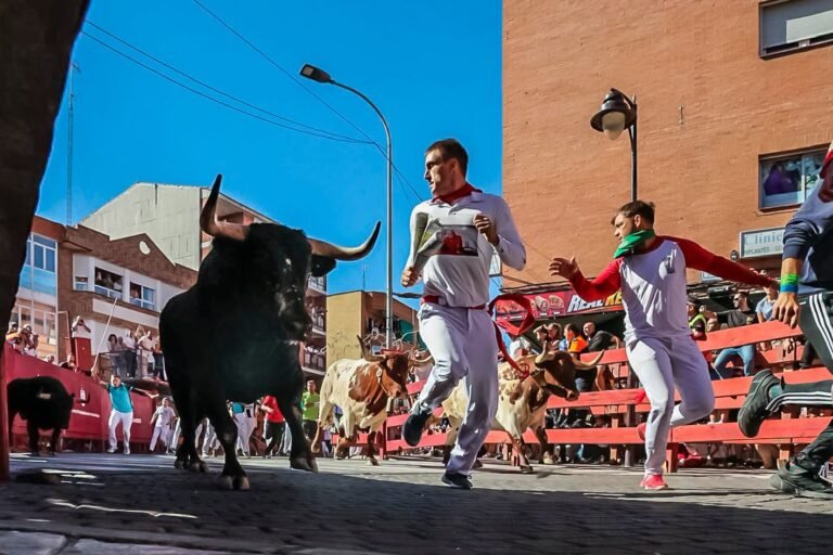 Núñez de Tarifa protagoniza un rapidísimo y precioso Sexto Encierro de San Sebastián de los Reyes 2026