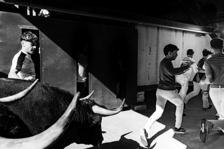 Mario del Monte con “Pegado a los talones” gana el Concurso de Fotografia del Encierro de Sanse 2026. Estas son las seis fotografías premiadas.