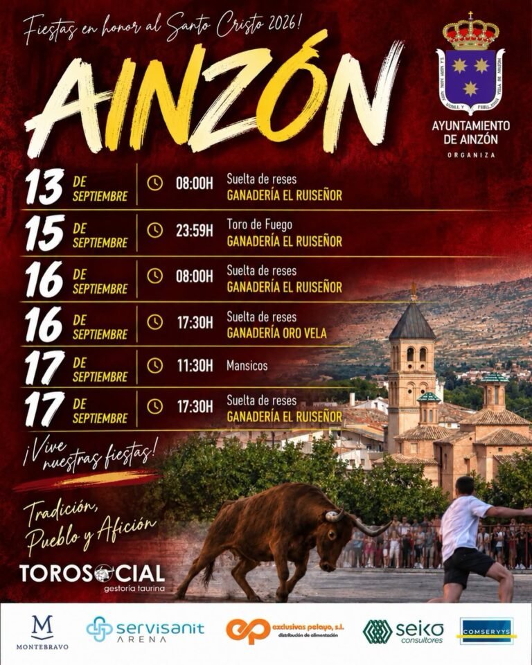 Ainzón