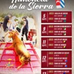 Almonacid de la Sierra