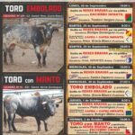 Arnedo