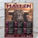 Mallén