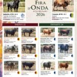 Onda