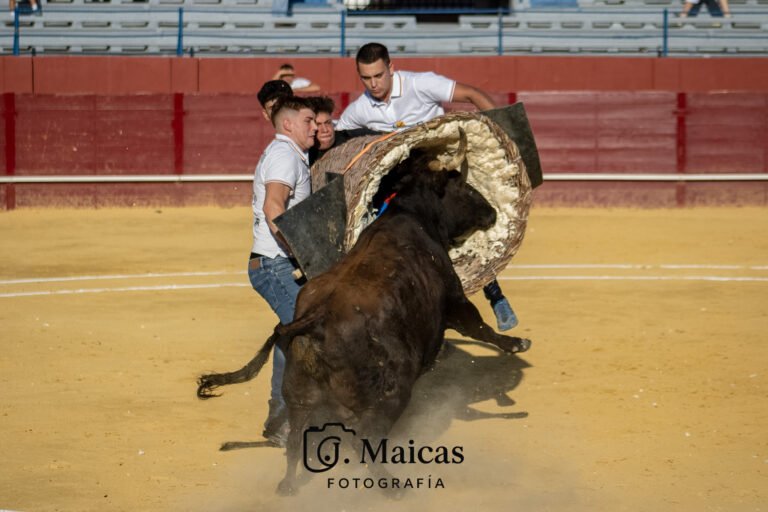Nuez de Ebro ganó el Concurso de Roscaderos de Cariñena en el que sólo dos cuadrillas completaron los tres minutos con vacas de Rafael Alarcón