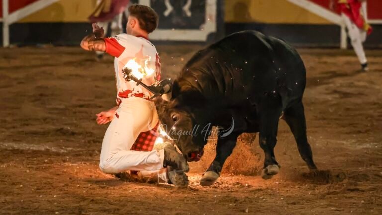 Concurso de Recortadores toros de fuego Épila