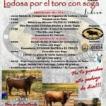 Lodosa