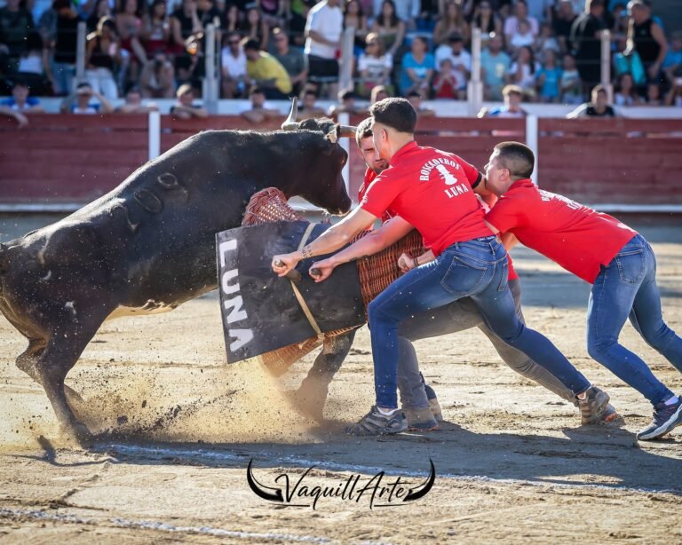 Luna ganó el emocionante Concurso de Roscaderos de Zuera 2026 con las bravas vacas de Don Jesús Marcén