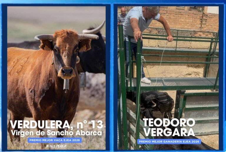 Verdulera, nº 13 de Virgen de Sancho Abarca, repite como mejor vaca por segundo año consecutivo y Teodoro Vergara gana el Concurso de Ganaderías de Ejea 2026 en el año de su debut
