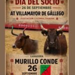 Villamayor de Gállego