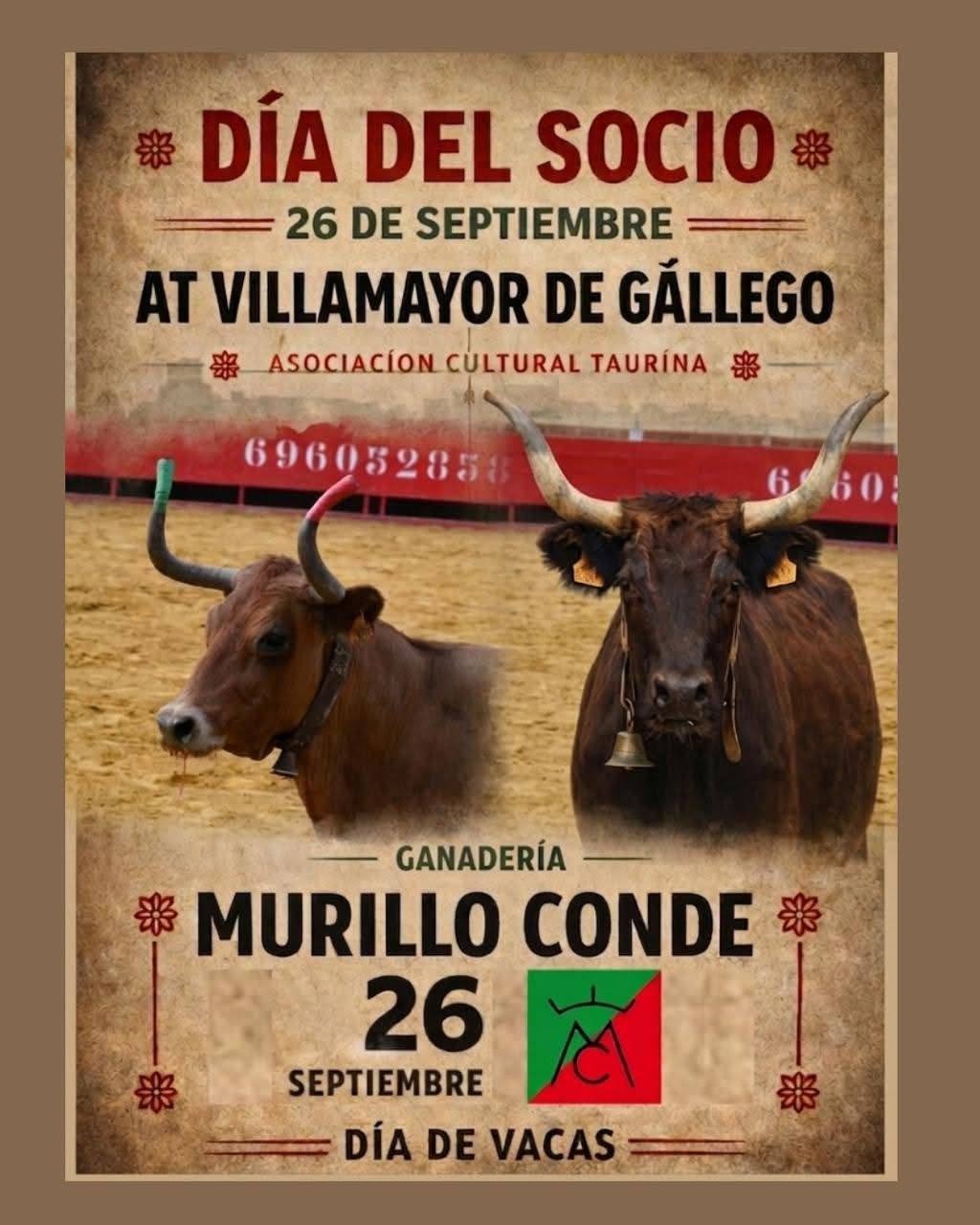 Villamayor de Gállego