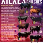 Xilxes