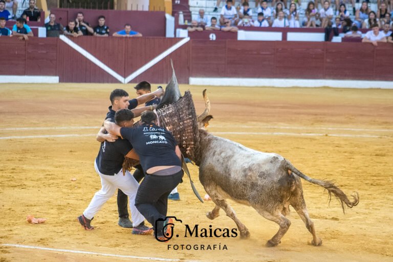 CRÓNICA Y GALERÍA DE FOTOS | Roscaderos del Moncayo ganó en casa un exigente y complicado Concurso de Roscaderos de Tarazona 2026