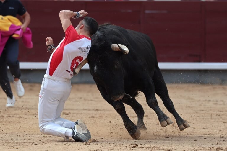 Jonatan Estébanez “Peta” agranda su leyenda haciendo historia en Las Ventas en el Campeonato de España de Recortadores 2026 al proclamarse por cuarta vez Campeón de España